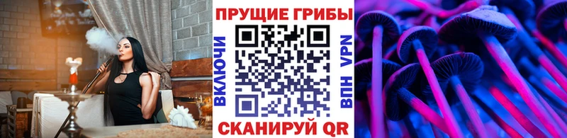 цены наркотик  Чердынь  Псилоцибиновые грибы мухоморы 